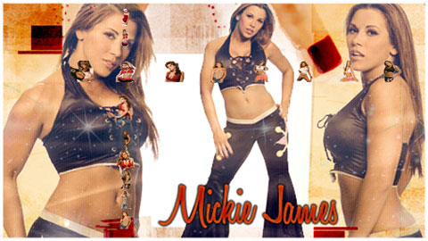 Mickie James No Bars Theme